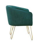 Bette Gold Finish Velvet Accent Chair by iNSPIRE Q Bold