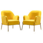 Marina Modern Velvet Accent Chair with Golden Legs Set of 2 by HULALA HOME