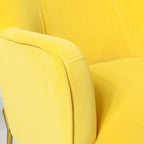 Marina Modern Velvet Accent Chair with Golden Legs Set of 2 by HULALA HOME