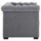 Fauteuil van slijtvast fluweel