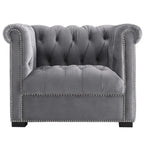 Fauteuil van slijtvast fluweel