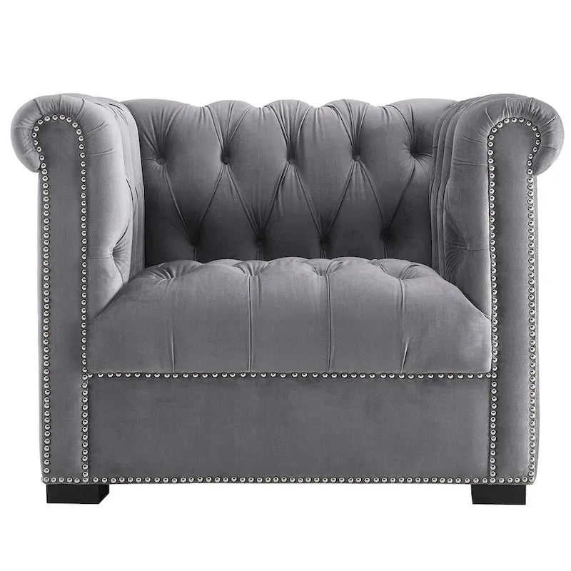 Fauteuil van slijtvast fluweel