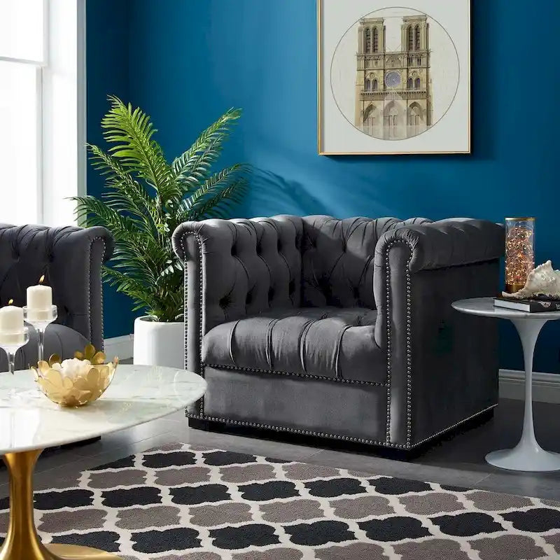 Fauteuil van slijtvast fluweel