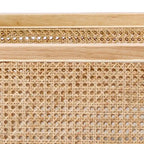 Rattan Armrest Fabric Upholstered Accent Chair