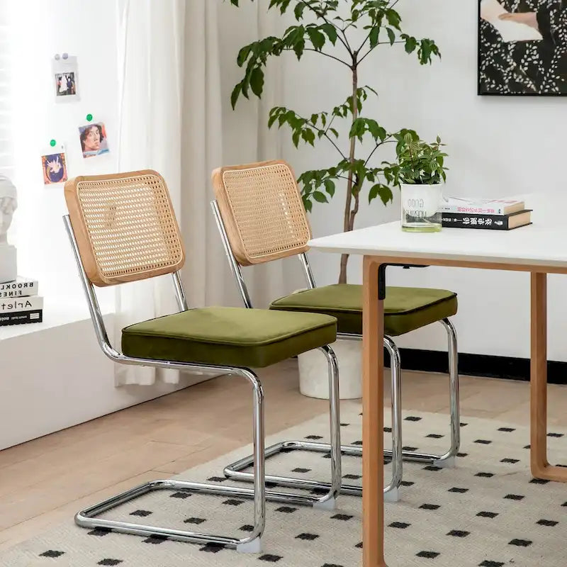 Dining Chairs Set of 2